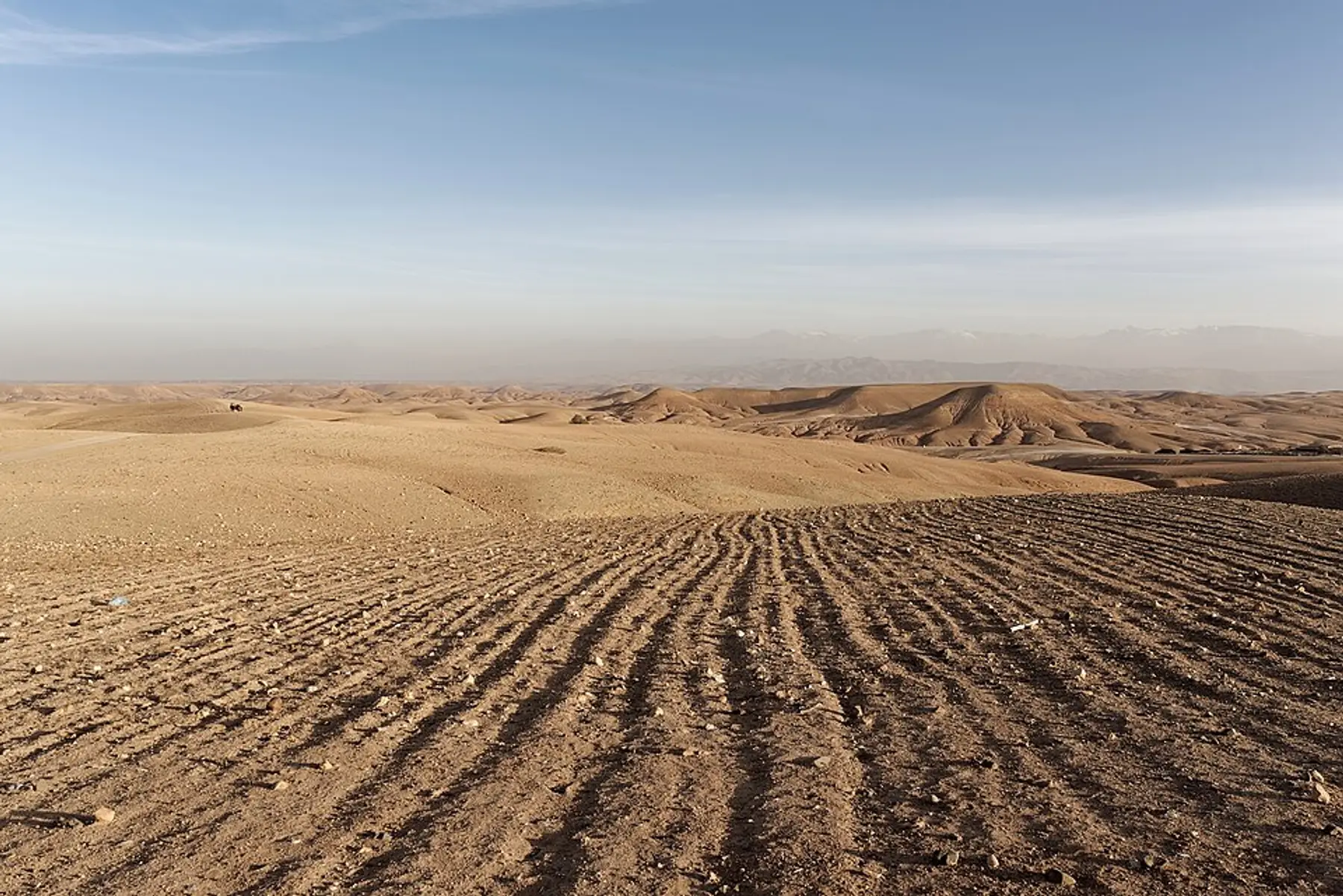 Bare rolling hills of the Agafay stone desert with the Atlas mountains behind