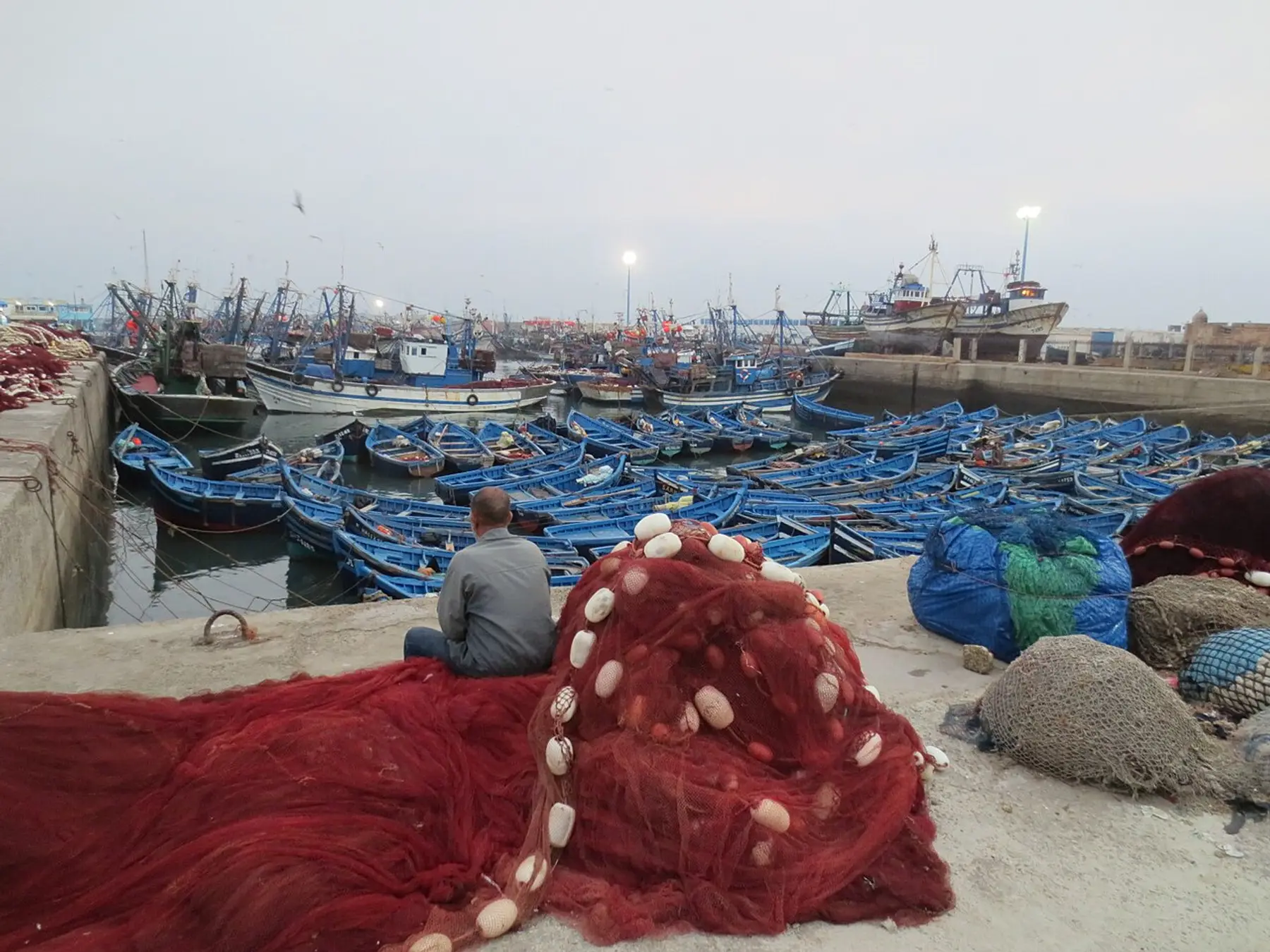 Blaue Fischerboote im Hafen von Essaouira, dahinter die Stadtmauern